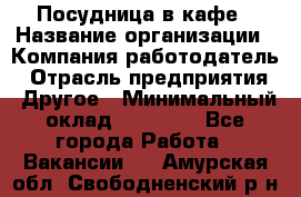 Посудница в кафе › Название организации ­ Компания-работодатель › Отрасль предприятия ­ Другое › Минимальный оклад ­ 14 000 - Все города Работа » Вакансии   . Амурская обл.,Свободненский р-н